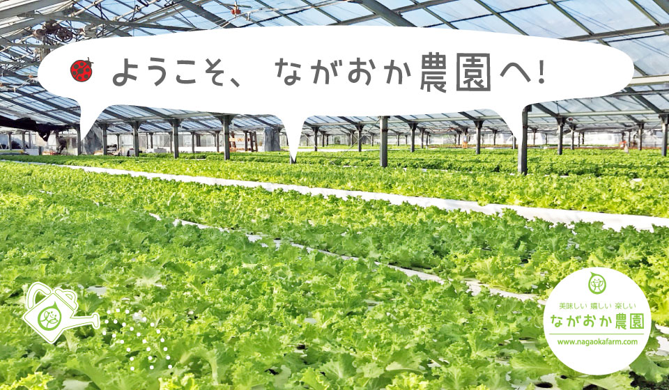 ようこそ!ながおか農園へ!! ようこそ!ながおか農園へ!!